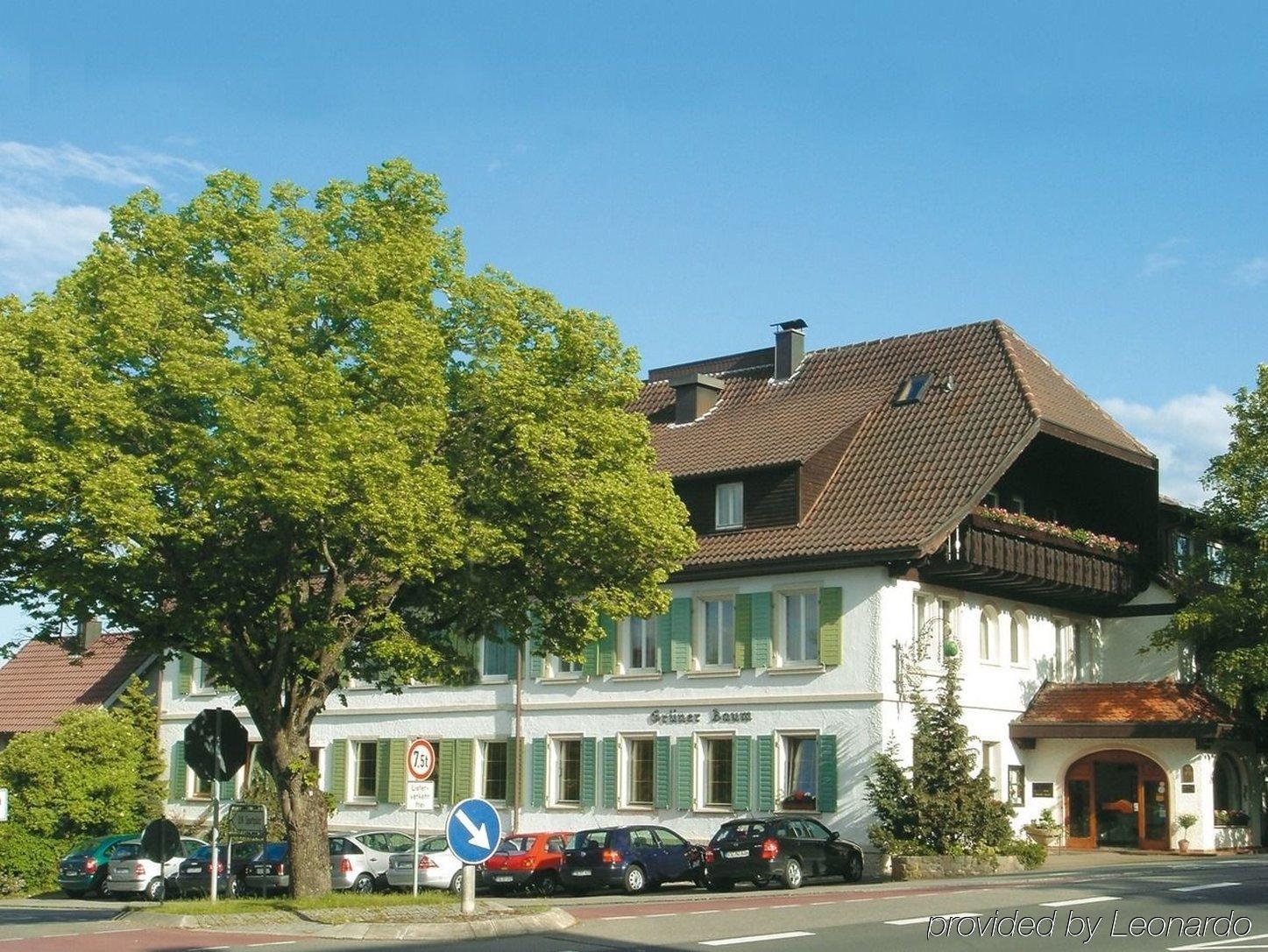 Flair Hotel Gruener Baum Donaueschingen Exteriör bild